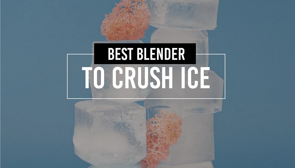 Best blender to crush ice Appliances For Life