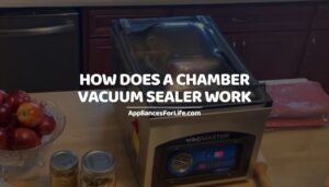 HOW DOES A CHAMBER VACUUM SEALER WORK