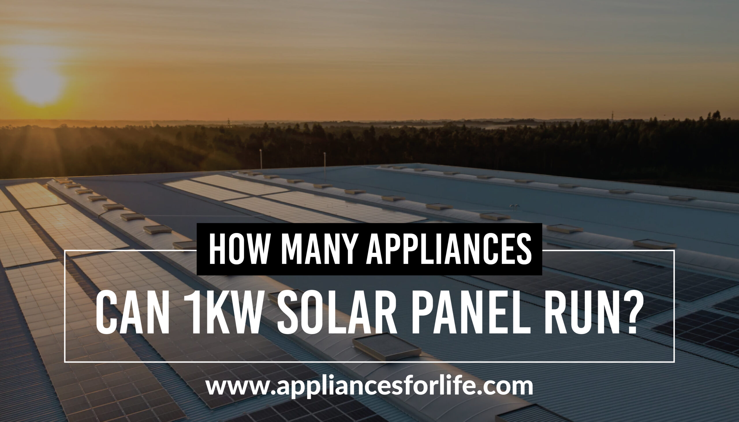 how-many-appliances-can-a-1kw-solar-panel-run-appliances-for-life