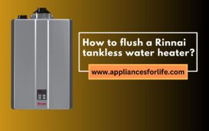 How to flush a Rinnai tankless water heater